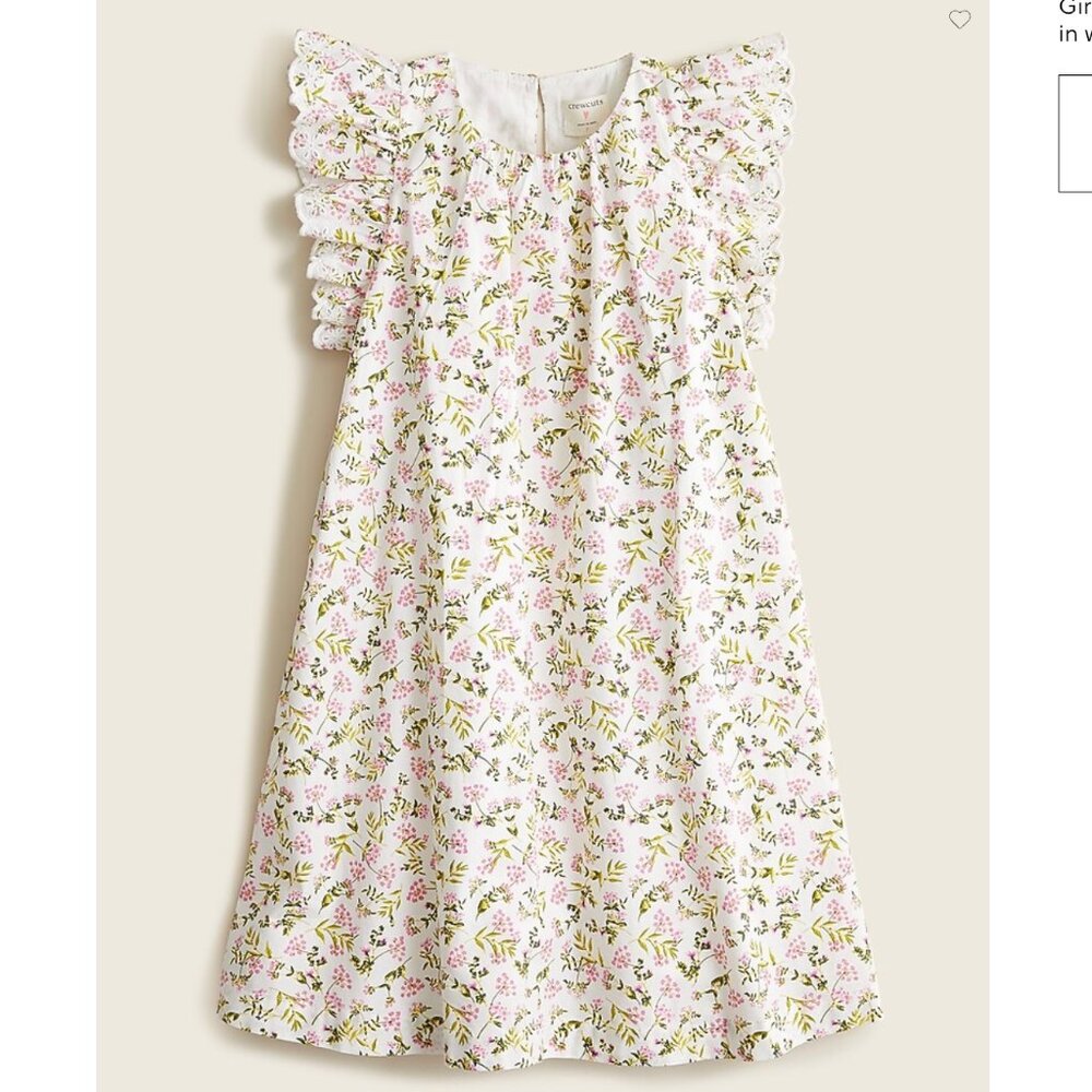 NWT J.Crew Crewcuts eyelet-trim ruffle-sleeve dress in wisp floral, Girls 4